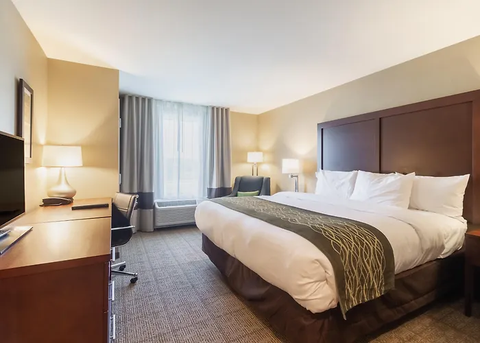 Comfort Inn & Suites - Harrisburg Airport - Hershey South
